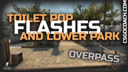 Overpass 3 pop flashes for lower park or toilet