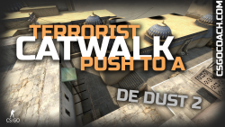 5-tt-catwalk-push-to-a-side-d2