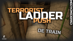 train-tt-ladder-push