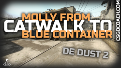 molly-from-catwalk-to-long-blue-container